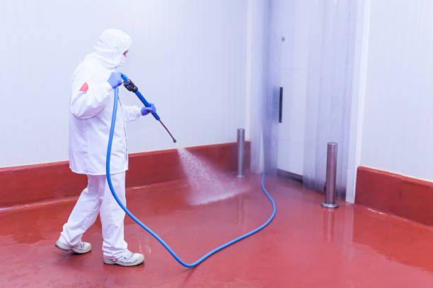 Best Boat and Dock Cleaning  in Lake Heritage, PA